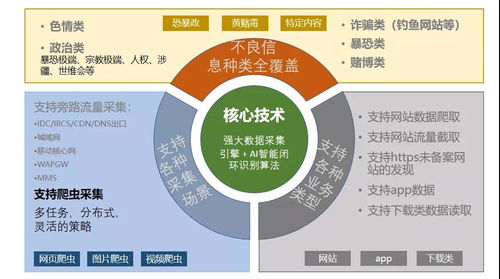 創(chuàng)旗申東吉 邊緣計算與信息安全監(jiān)管在互聯(lián)網(wǎng)信息服務(wù)中的挑戰(zhàn)與機遇